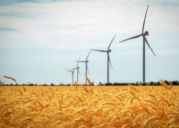 В Україні хочуть змінити правила гри для бізнесу та населення на ринку ВДЕ