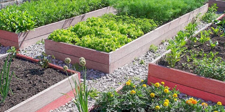 Високі грядки своїми руками: як зробити правильно