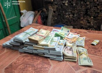 На Закарпатті затримали голову ВЛК, в якого вилучили близько 11 млн грн готівки