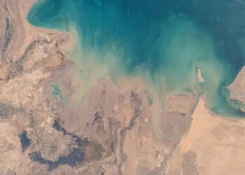 ОАЕ зупинили роботу свого найбільшого газового заводу після атаки Ірану