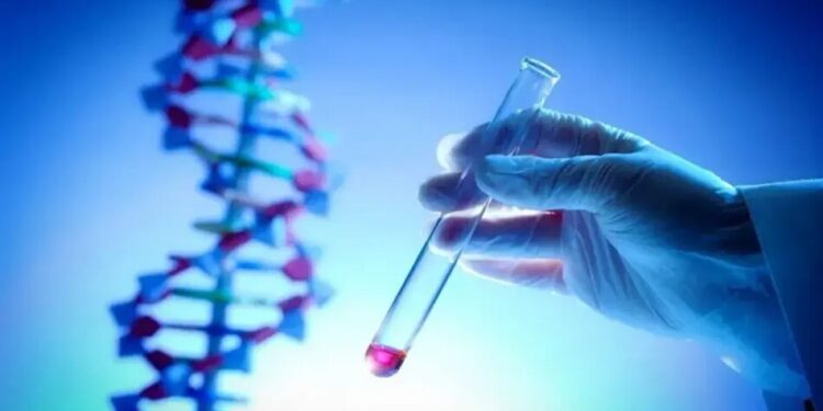 Українці у п'яти країнах Європи можуть здати ДНК для пошуку зниклих безвісти – Лубінець