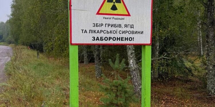 Бізнес на радіоактивній землі у Чорнобильській зоні – справу скерували до суду