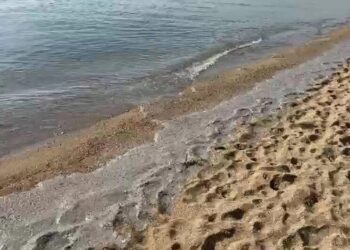 На узбережжі Чорного моря фахівці виявили екологічне забруднення