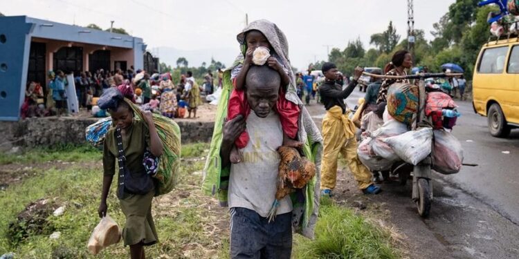 У ДР Конго різко зросла кількість смертних вироків після скасування мораторію