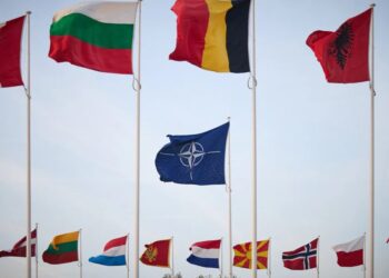 США підтвердили нейтралітет щодо Фолклендів, Іспанія заявила, що є "надійним" членом НАТО після записки Пентагону