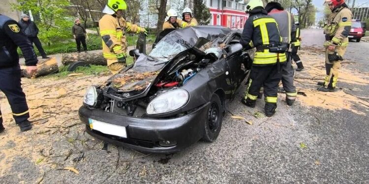 У Запоріжжі дерево впало на авто та вбило 39-річного водія під час негоди