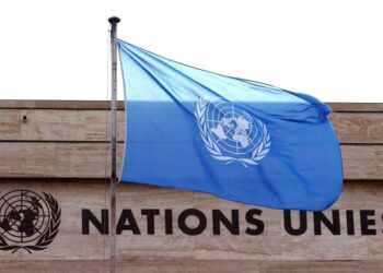 В ООН попередили про новий стрибок цін на продукти у 2026 році