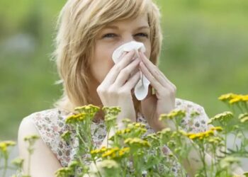 Перехресна алергія – чому організм реагує на фрукти через пилок рослин