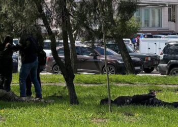 Стрілянина і погоня в Одесі – СБУ підтвердила затримання, за даними ЗМІ – це працівники місцевого ТЦК