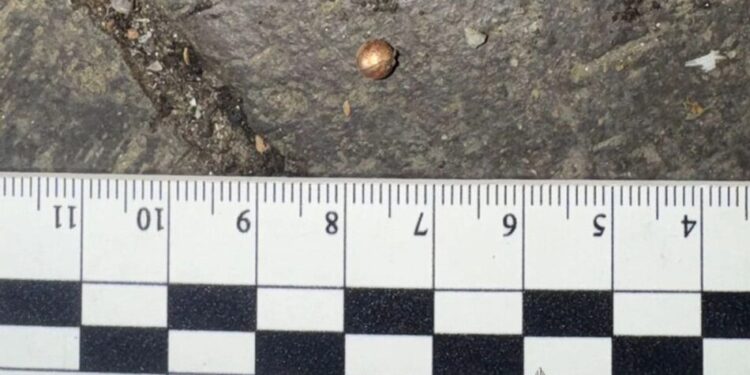 У Вінниці невідомий поранив 54-річного чоловіка під час стрілянини