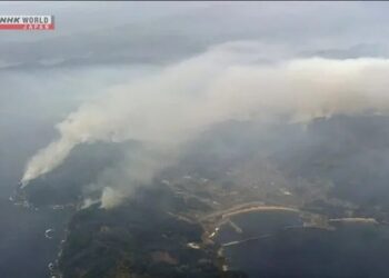 У Японії лісова пожежа охопила 700 га – евакуйовано тисячі людей