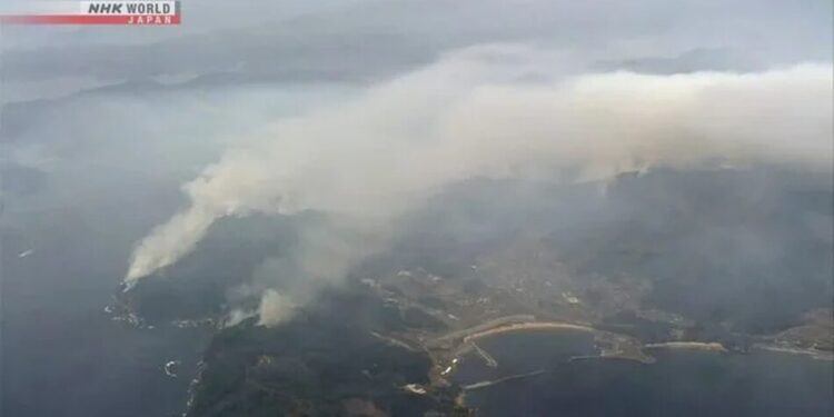 У Японії лісова пожежа охопила 700 га – евакуйовано тисячі людей