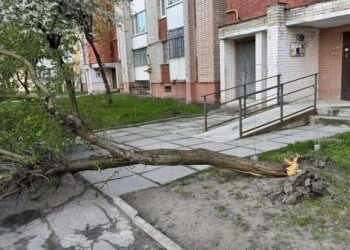 Буревій у Львові та Івано-Франківську повалив дерева