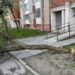 Буревій у Львові та Івано-Франківську повалив дерева