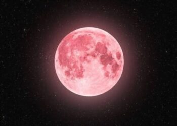 Повний Місяць у квітні – що означає рожева повня і чому її так називають