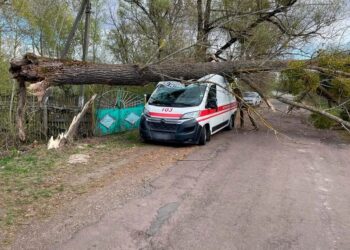 Наслідки негоди в Україні 23 квітня – дерева падають на авто та спричиняють пожежі