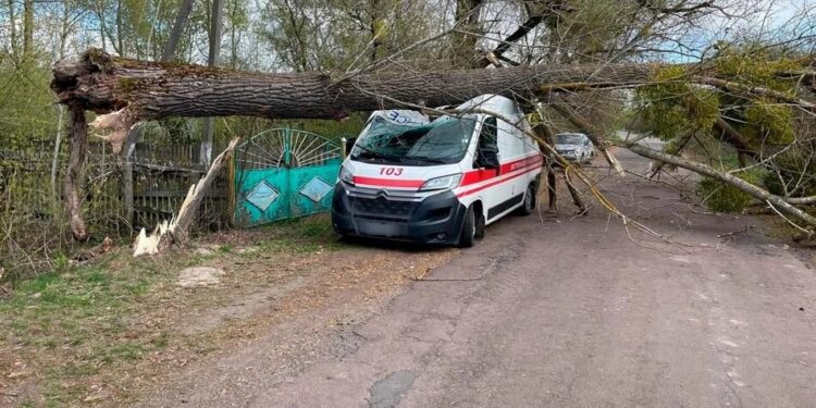 Наслідки негоди в Україні 23 квітня – дерева падають на авто та спричиняють пожежі