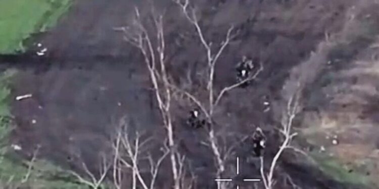 Зірвано найбільший мотоштурм року – десантники зупинили атаку ворога на Слов’янському напрямку