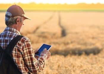 Уряд посилив підтримку фермерів на прифронтових територіях