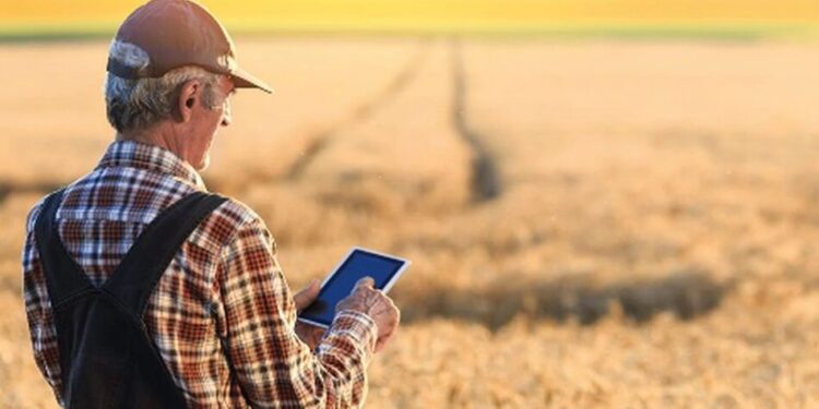 Уряд посилив підтримку фермерів на прифронтових територіях