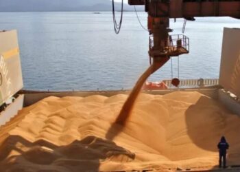 Ізраїль відповів на звинувачення України в купівлі краденого зерна