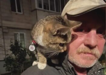 Висаджував дерева, мріяв зустріти День Перемоги та любив дітей – що відомо про сьому жертву "Голосіївського стрільця"