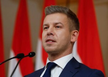 Петер Мадяр знайшов позитив у приїзді Венса до Угорщини для агітації за Орбана