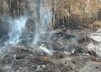 Лісові пожежі в Джорджії знищили десятки будинків і залишаються загрозою попри дощі