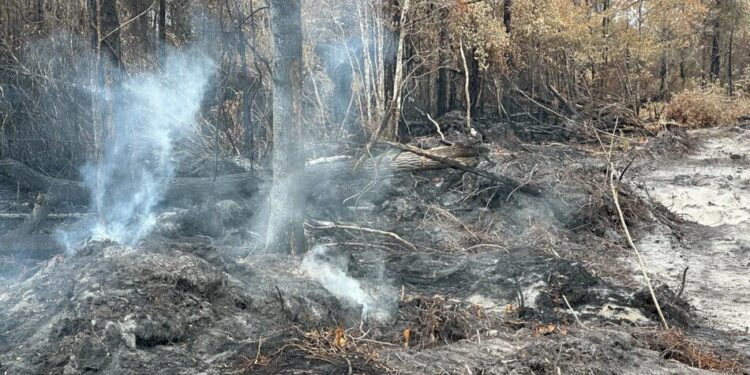 Лісові пожежі в Джорджії знищили десятки будинків і залишаються загрозою попри дощі