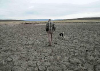 У США зафіксували рекордну посуху – зростають ризики пожеж, дефіциту води та подорожчання продуктів – ЗМІ