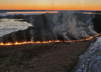 У Фінляндії повністю згорів острів на річці Торніонйокі, пожежу вирішили не гасити