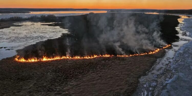 У Фінляндії повністю згорів острів на річці Торніонйокі, пожежу вирішили не гасити