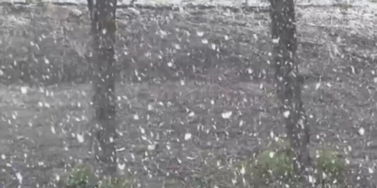 В Україні за тиждень до травня вирішила повернутися зима – у низці регіонів засніжило