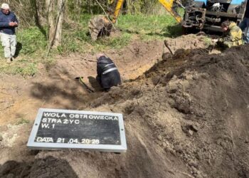 На Волині під час пошукових робіт виявили масове поховання – Інститут нацпам'яті Польщі