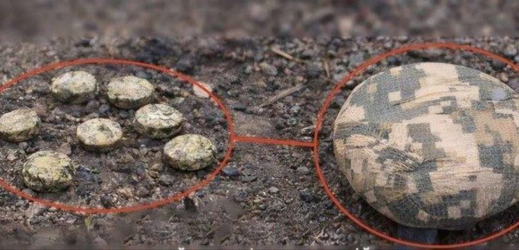 Ворог дистанційно замінував територію біля школи в Херсоні – мер