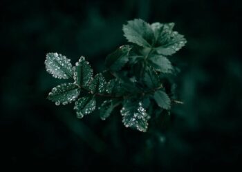 На вихідних Україну накриють дощі та заморозки – де чекати похолодання