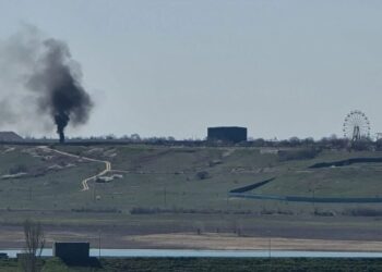 У Криму парк левів "Тайган" звинуватили в екологічних порушеннях та забрудненні довкілля