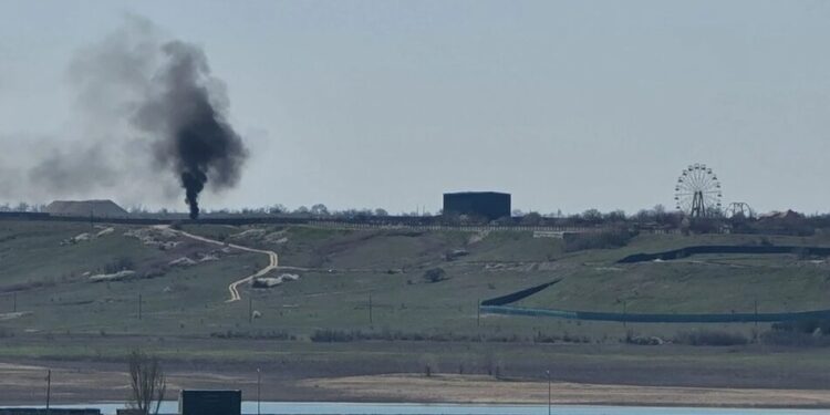 У Криму парк левів "Тайган" звинуватили в екологічних порушеннях та забрудненні довкілля