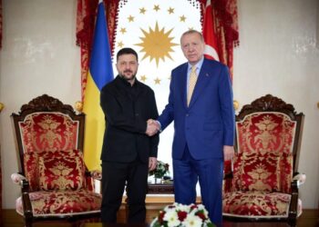 Зеленський та Ердоган обговорили можливість спільної розробки газових родовищ