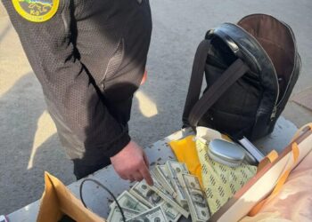 У речах жительки Закарпаття, яка прямувала до Словаччини, службовий пес митників винюхав 4 млн грн готівки
