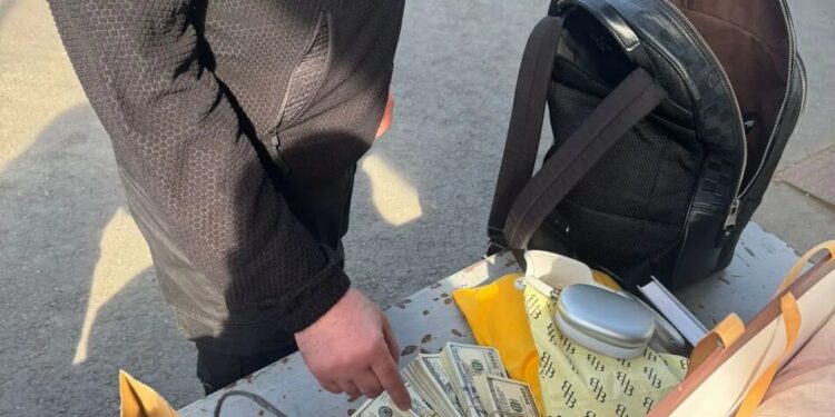 У речах жительки Закарпаття, яка прямувала до Словаччини, службовий пес митників винюхав 4 млн грн готівки