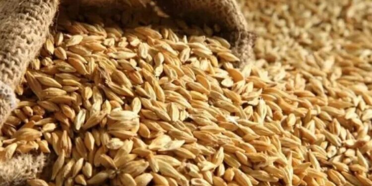 У МЗС назвали країни, куди везуть вкрадене українське зерно з окупованих територій