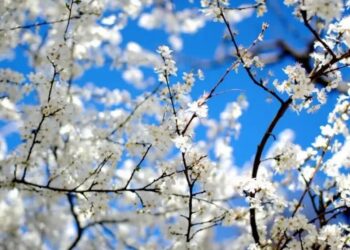 Антициклон Winfried кардинально змінить погоду в Європі і Україні на початку травня – синоптик