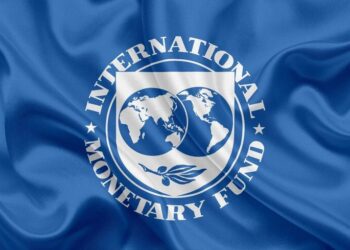 Україні необхідно затвердити податок на посилки, щоб зберегти фінансування від МВФ – ЗМІ