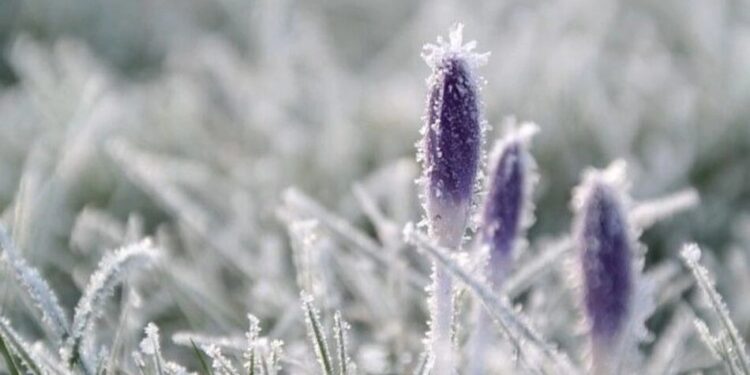 Дощі з мокрим снігом та нічні заморозки на ґрунті – в Україну йде похолодання