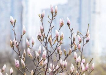 В Україні з початку передвеликоднього тижня змінюватиметься погода – синоптик дала прогноз