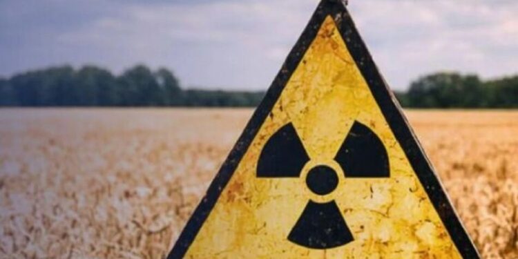 У Чорнобильській зоні більше 5 років незаконно вирощують врожай: прокуратура через суд повертає 190 гектарів