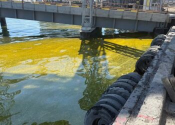 Масштабний розлив олії стався в порту Чорноморська після ворожої атаки – ДЕІ