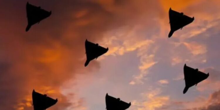 рф запустила 144 ударних дрони: Повітряні сили знищили понад 120 цілей, є влучання на 11 локаціях