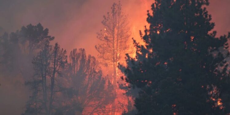 У Південній Каліфорнії спалахнула лісова пожежа, оголошено евакуацію